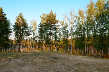 Orman gölüyle akşam manzarası