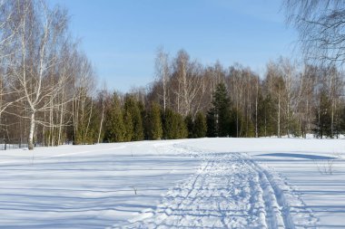 Kar yağışı yolu ve ormanlı kış manzarası