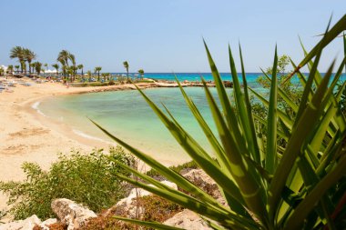 Akdeniz kıyısında, turkuaz denizli bir tatil köyünde.