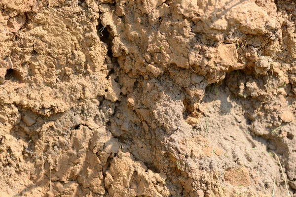 Consistenza Del Taglio Della Terra Con Alto Contenuto Argilla — Foto Stock