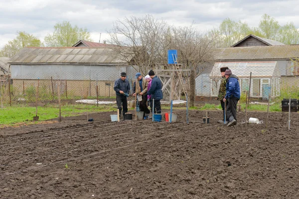 Mei 2017 Aardappelen Met Hand Een Geploegd Veld Planten Chuvashia — Stockfoto