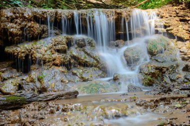 Güneşli bir yaz gününde ormanın küçük şelalesi