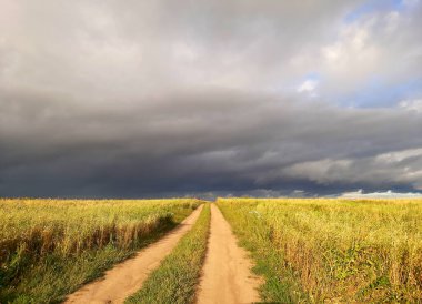 Altından bir buğday tarlası ve yağmurdan önce karanlık bir gökyüzü olan bir manzara.