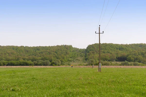 Pólos Com Linhas Energia Através Campo Verde Floresta Horizontal — Fotografia de Stock