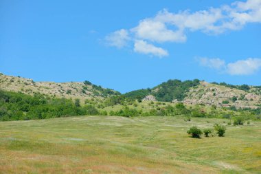 A mountain with green vegetation at the foot