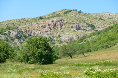 A mountain with green vegetation at the foot