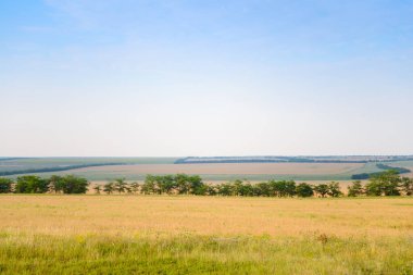 Geniş yeşil ve sarı alanlar, mavi gökyüzü ve ormanlar