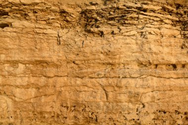 Kayalık duvarın yüzeyi gün batımında sarıdır.