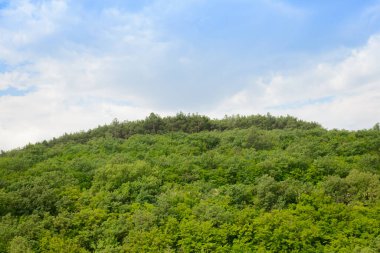 Dağın tepesi bulutlu mavi gökyüzünün arka planında yoğun yeşil bir ormanla kaplıdır.