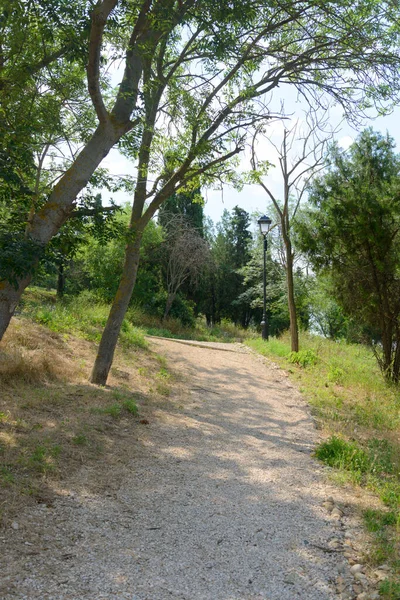 Sentiero Che Sale Passeggiare Nel Parco Con Alberi Lanterne — Foto Stock