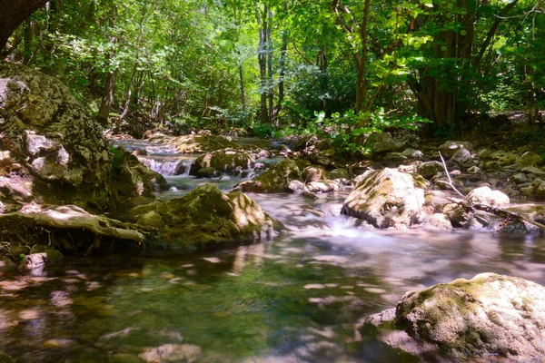 Ein Schneller Gebirgsfluss Wald Mit Felsen Und Stromschnellen — Stockfoto