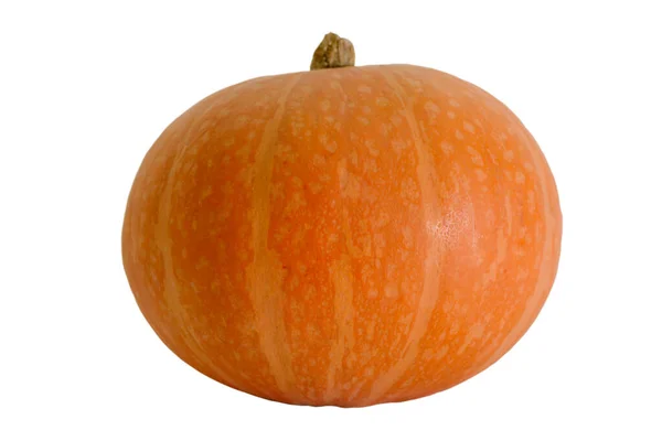 Whole Orange Pumpkin White Background — Stock Photo, Image