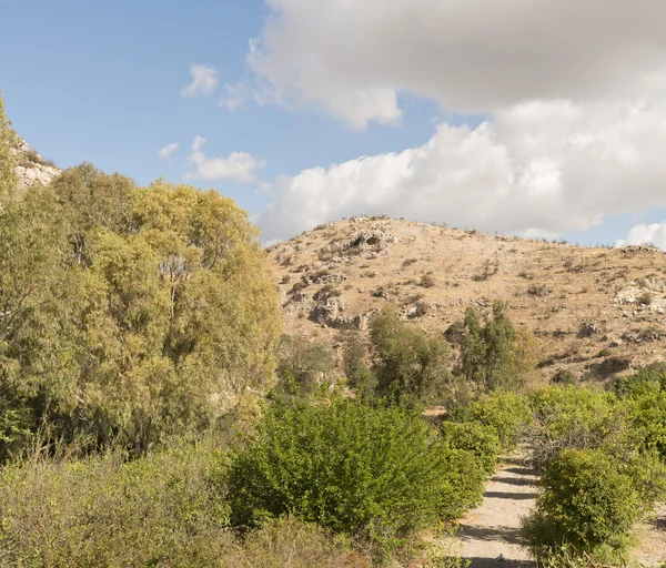 Collina rocciosa con alberi ai piedi — Foto Stock