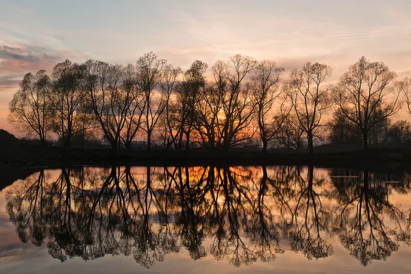 Reflexão de árvores no pôr do sol — Fotografia de Stock