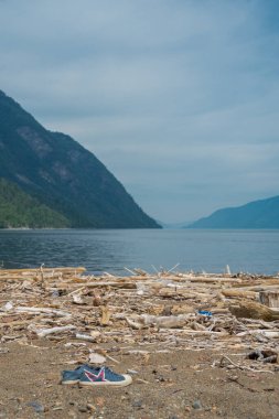 Teletskoye Gölü 'nün kumlu sahilinde tek başına duran eski spor ayakkabıları, dikey Altai fotoğrafı.