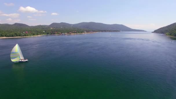 Foto aerea. Regata di vela sul fiume Angara — Video Stock