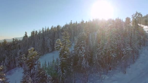 Aerial survey from the air. Winter. Baikalsk ski resort on Mount Sable — Stock Video