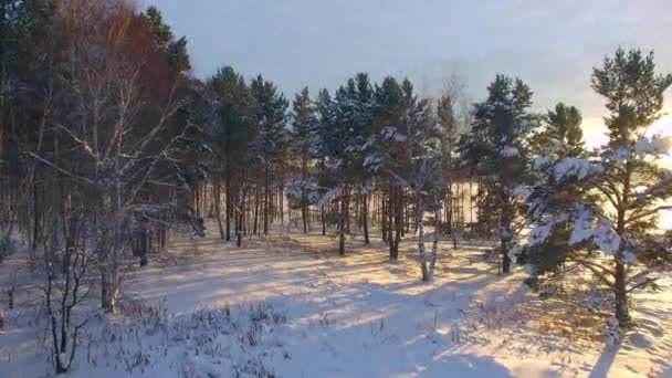 Relevé aérien depuis les airs. L'hiver. Coucher de soleil sur la rivière Angara 