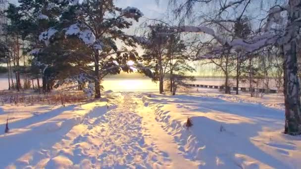 Aerial survey from the air. Winter. Sunset on the Angara River — Stock Video