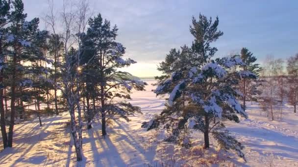 Flygfotografering från luften. Vintern. Solnedgång vid floden Angara — Stockvideo