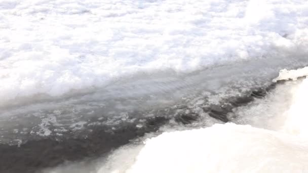 Vinter Närbild Rör Sig Nära Stranden — Stockvideo