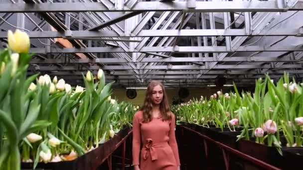 Giovane Ragazza Abito Marrone Posa Una Serra Fiori Tulipani — Video Stock