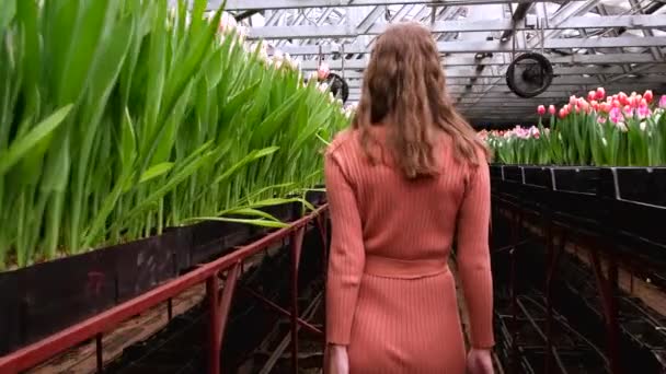 Young Girl Brown Dress Posing Greenhouse Flowers Tulips — Stock Video