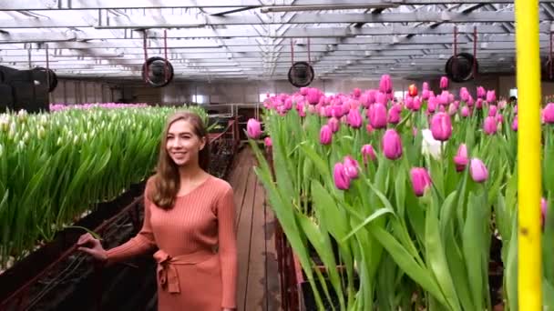 Chica Joven Vestido Marrón Posando Invernadero Flores Tulipanes — Vídeos de Stock