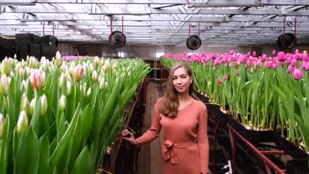 Fiatal Lány Barna Ruhában Pózol Egy Üvegházban Virágok Tulipánok — Stock videók