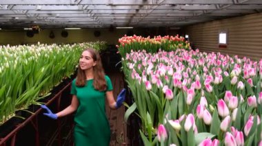Yeşil elbiseli genç kız çiçek serasında çalışıyor laleler 