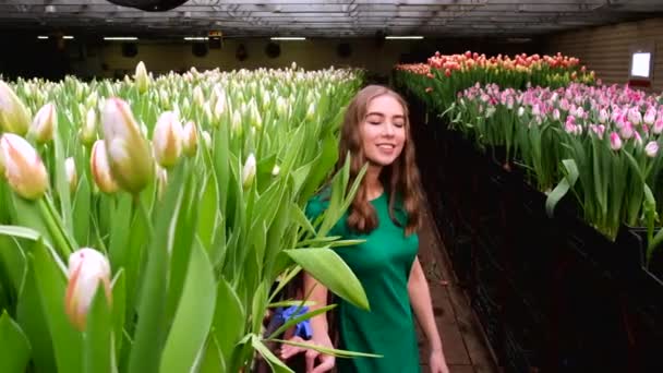 Chica Joven Ropa Verde Trabaja Invernadero Flores Tulipanes — Vídeos de Stock