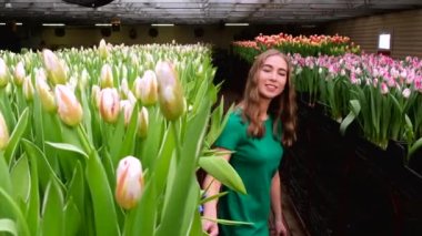 Yeşil elbiseli genç kız çiçek serasında çalışıyor laleler 