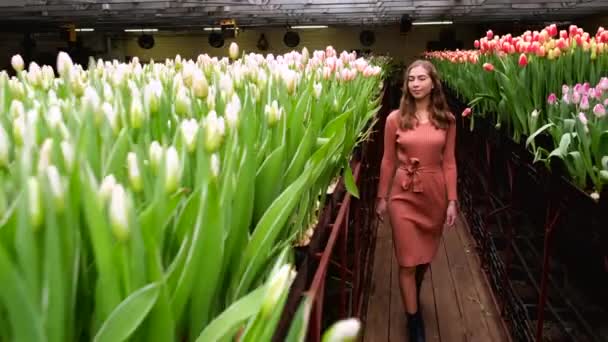 Young Girl Brown Dress Posing Greenhouse Flowers Tulips — Stock Video