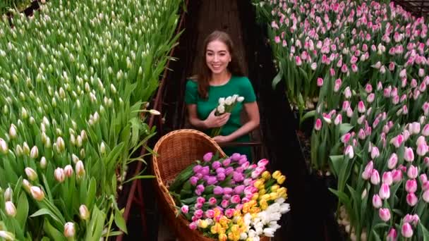 Gadis Muda Berpakaian Hijau Bekerja Rumah Kaca Bunga Tulip — Stok Video