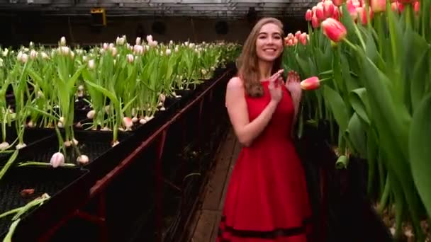 Gadis Muda Dengan Gaun Merah Berpose Rumah Kaca Bunga Tulip — Stok Video
