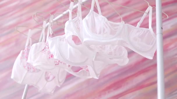 Frauen Leichte Unterwäsche Rack Indoor Rosa Wand — Stockvideo