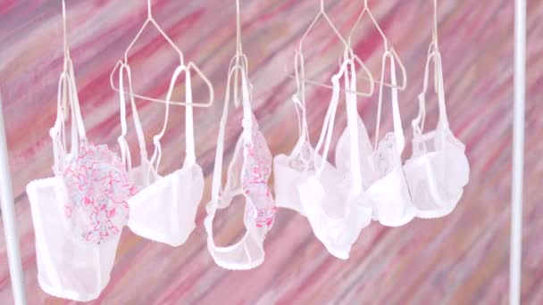 Femmes Lumière Sous Vêtements Rack Intérieur Mur Rose — Video