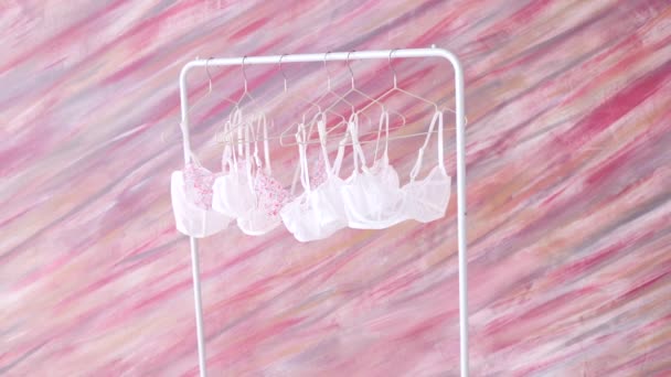 Womens Licht Ondergoed Rack Indoor Pink Wall — Stockvideo