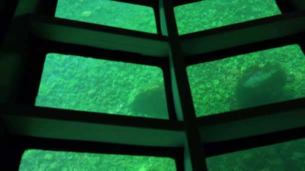 Ship Transparent Bottom Bathyscaphe Baikal Sea Bottom — Stock Video