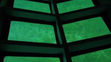 Şeffaf tabanlı bir gemi. Bathyscaphe. Baykal. Deniz dibi