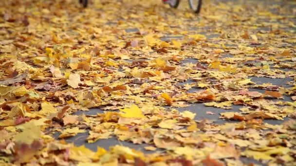 Oranje Herfstbladeren op de stoep — Stockvideo