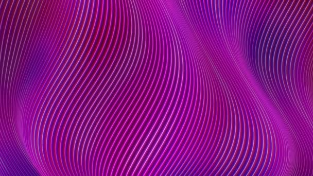 Curva de onda de línea de neón brillante Flujos y curvas superficiales brillantes abstractos - Animación de fondo de movimiento de bucle VJ inconsútil 4K — Vídeos de Stock
