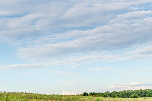 Paisaje Una Medow Bosque Bajo Cielo Azul Nublado Día Verano — Foto de Stock