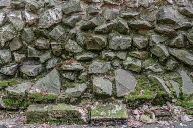 Üzerinde yosunlar olan eski bir duvarın soyut arkaplanı.