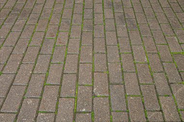 Parktaki ıslak fayanslı geçitin soyut arkaplanı ve eklemler arasında çimen yumruklama