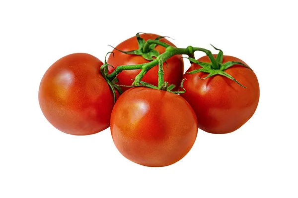 Fresh Organic Soil Tomatoes Branch Isolated White — Stock Photo, Image