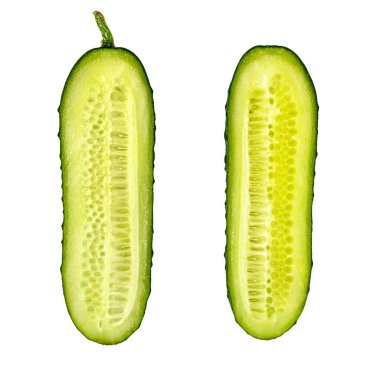 Topraktaki taze organik salatalıkların yarısı beyaza izole edilmiş.