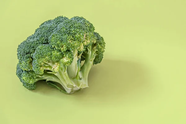 Head Broccoli Cabbage Light Green Surface Close — Stock Photo, Image