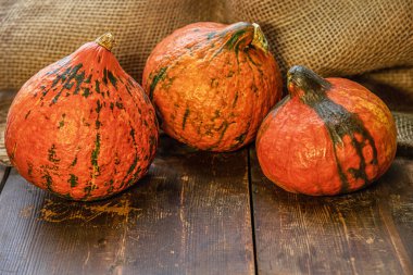 Tahta bir yüzey üzerinde olgun hamur kabakları Yaklaş