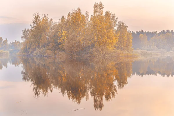 Paisagem Outono Dourado Lago Floresta Nascer Sol Nebuloso Hora Dourada — Fotografia de Stock